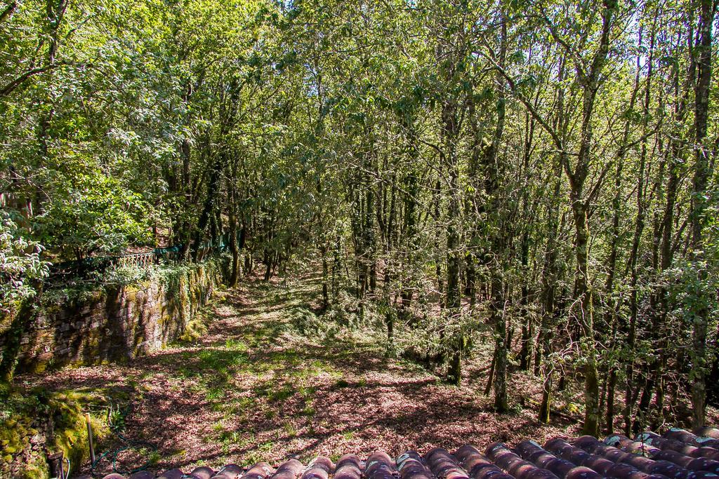 Liiiving In Caminha | Oak Tree Chill House Villa Eksteriør billede